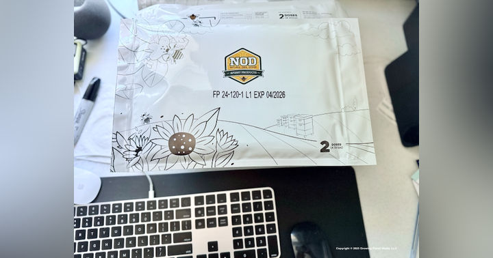 image for 2026 Starts Right Now